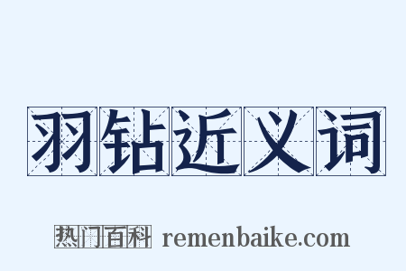 羽钻近义词是什么意思的图片